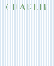 Load image into Gallery viewer, STRIPE MINI PAD
